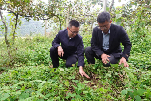 云南文山：持续培育科技型中小企业成长