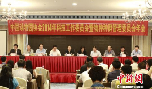 华南虎恐将野外灭绝 动物园需加强物种种群管理